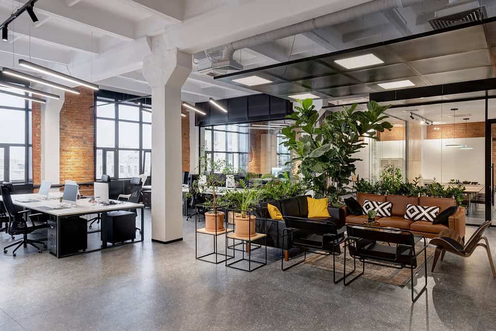 circular office teaser